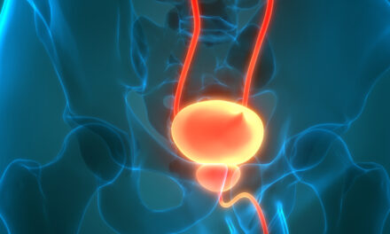 HistoEncoder : un modèle de fondation en patho numérique pour le cancer de la prostate
